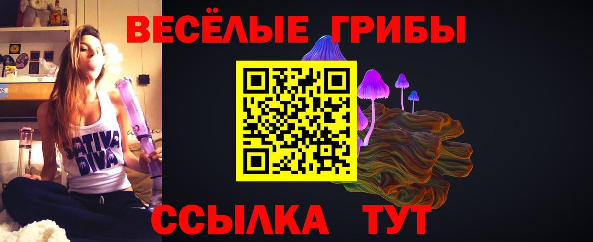 Псилоцибиновые грибы Psilocybe  Вход с VPN  Бахчисарай 
